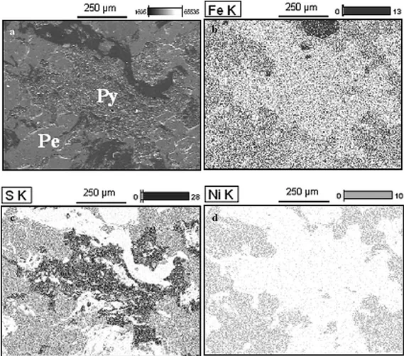 Fig. 3. SEM images of a massive nickel sulphide ore (a) showing the association between pentlandite and pyrrhotite