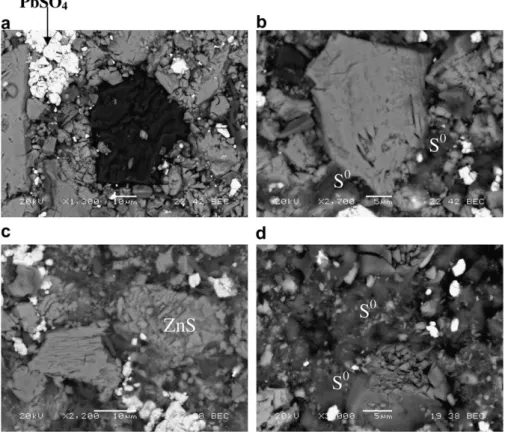 Fig. 10. Eﬀect of initial free acidity on zinc extraction. Experimental conditions: 368 K (95  C); 10% solids; no iron addition; leaching time 72 h.