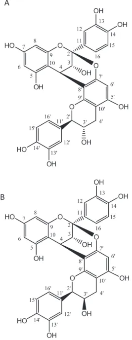 Fig. 2. Structures of the bioactive compounds isolated from peanut skin: (A) epicatechin-(2 b ? O ? 7, 4 b ? 8)-catechin (proanthocyanidin A1), (B)  epicate-chin-(2 b ? O ? 7, 4 b ? 8)-epicatechin (proanthocyanidin A2).