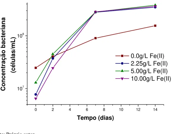 Figura 6.6. Perfil do crescimento bacteriana (células/mL) com o tempo nos ensaios de bio- bio-oxidação  do  concentrado  sulfetado