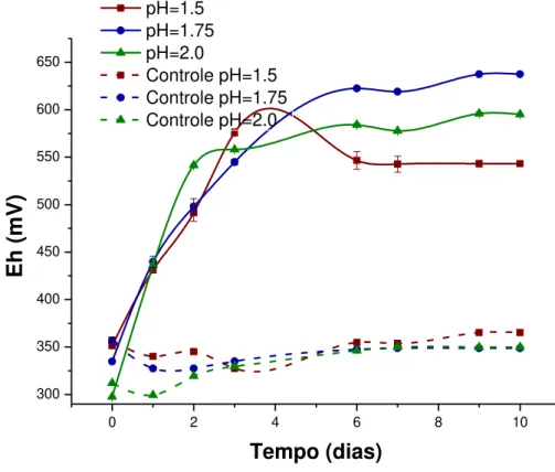 Figura  6.10.  Variação  do  Eh  com  o  tempo  nos  ensaios  de  bio-oxidação  do  concentrado  sulfetado