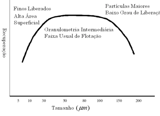 Figura 3.12 – Visão geral da flotação em função da granulometria (Pease et alii 2005)