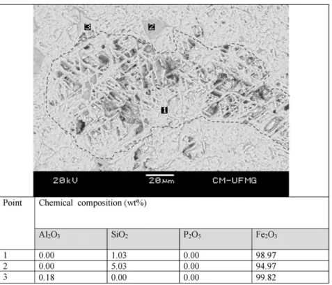 Fig. 6. BSE image of martite with a typical microporous microtexture in the fraction size − 2.36 mm + 1.67 mm of the iron ore sample