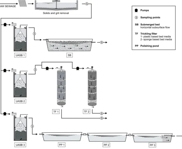 Fig. 1. Flow sheet and sampling points of the demo-scale treatment systems.