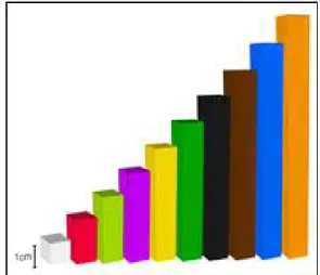Figura 2: As barras de Cuisenaire representando a base 10 