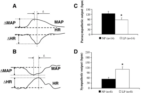 Fig. 1. The gain of the baroreflex was estimated by dividing the alteration in the heart rate (ΔHR, bpm) by the alteration in the mean arterial pressure (ΔMAP, mmHg) in the baroreflex activation (A) and deactivation (B)