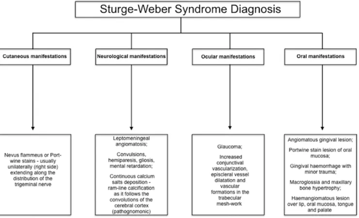 Figure 3. Sturge-Weber syndrome diagnostic features.