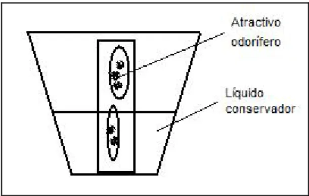 Figura 3 – Representação esquemática da armadilha de queda utilizada nas amostragens. 