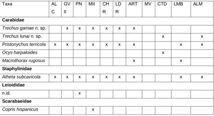 Tabela 1. Síntese de coleópteros recolhidos entre Novembro de 2006 e Maio de 2007 e  respectivos locais de ocorrência