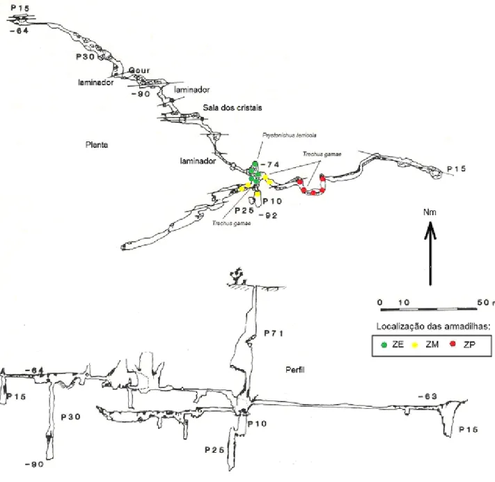 Figura 2. Representação topográfica do Algar de Gralhas VII, com indicação da localização  das armadilhas