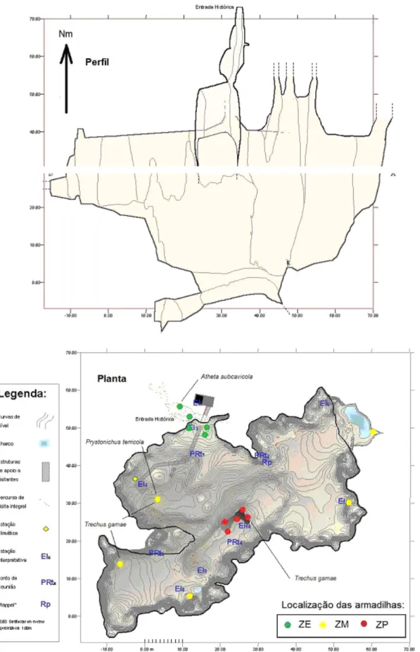 Figura 3. Representação topográfica do Algar do Pena, com indicação da localização das  armadilhas.
