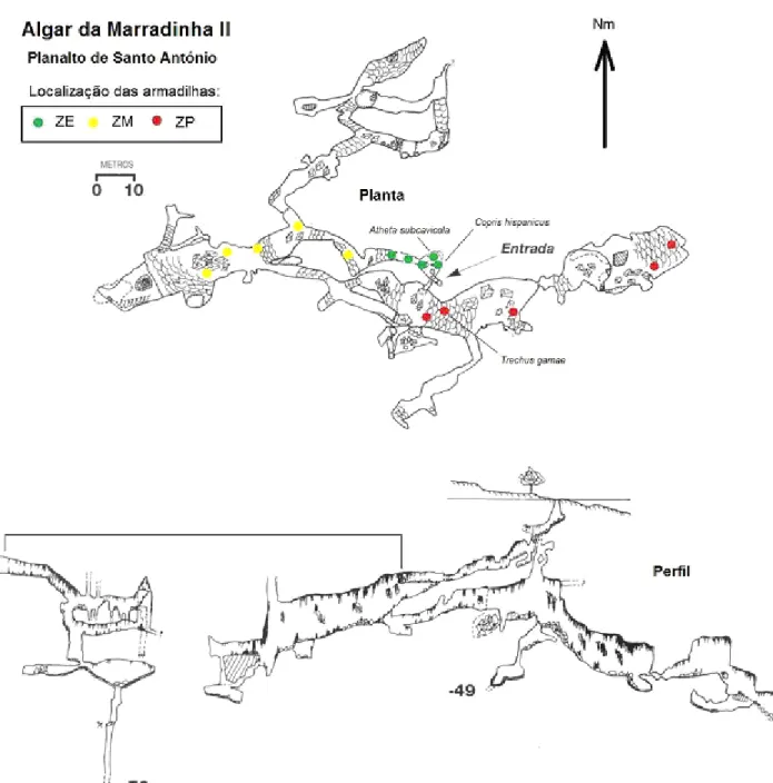 Figura 5. Representação topográfica do Algar de Marradinhas II, com indicação da 
