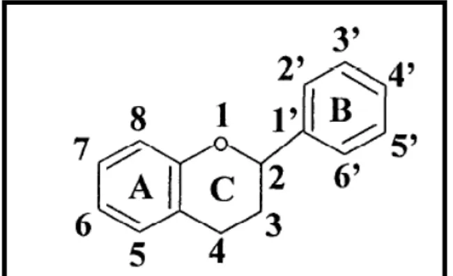 Figura 3: Estrutura geral dos flavonoides. Fonte: Cook &amp; Samman, 1996. 