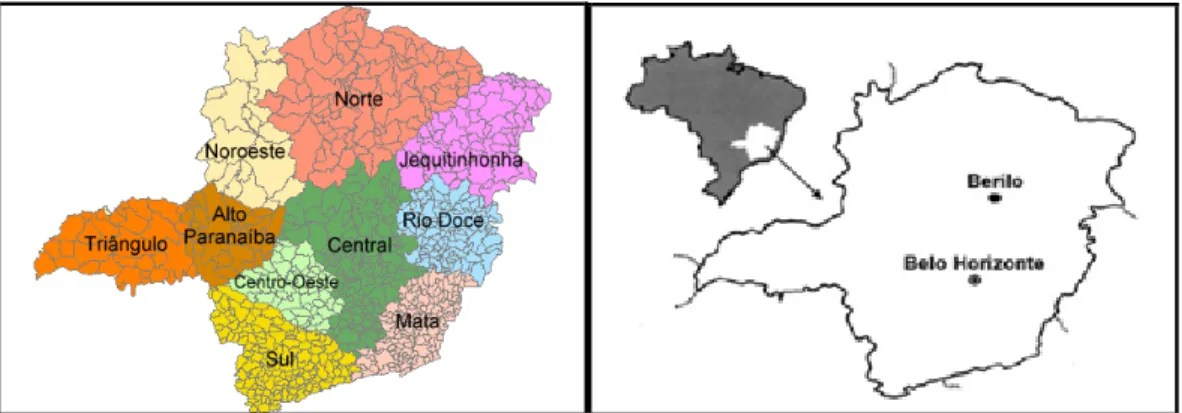 Figura 1 - Divisão das mesorregiões e localização do município de Berilo no Estado de Minas Gerais