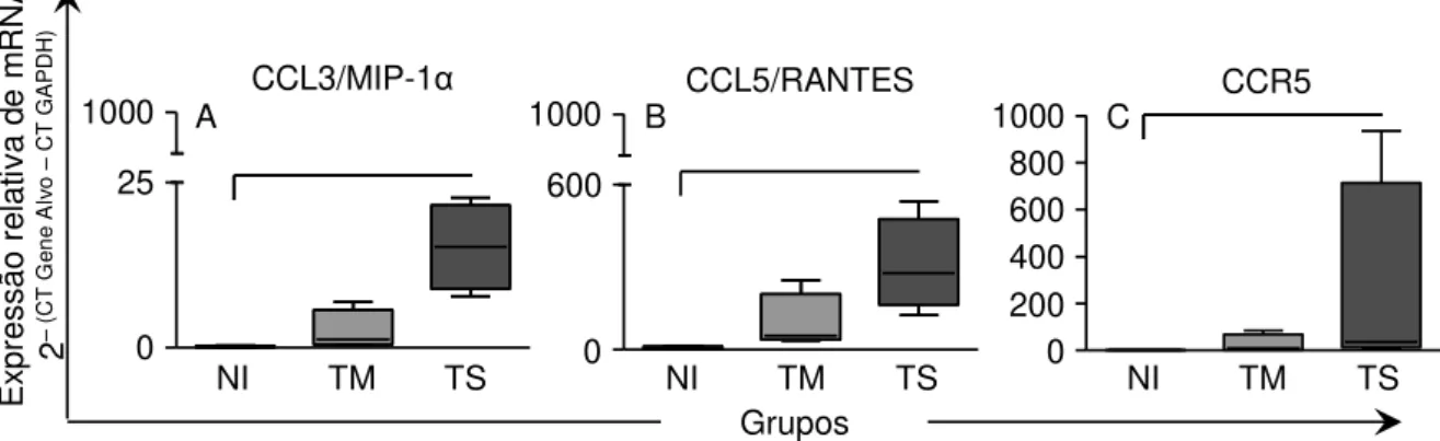 Figura  9:  Análise  da  expressão  relativa  de  mRNA  das  quimiocinas  CCL3/MIP- 1α,  CCL5/RANTES  e  do  receptor  CCR5  em  amostras  no  Átrio  Direito  (AD)  de  cães  Não  Infectados  (NI),  infectados  por  formas  Tripomastigotas  Metacíclicas  (