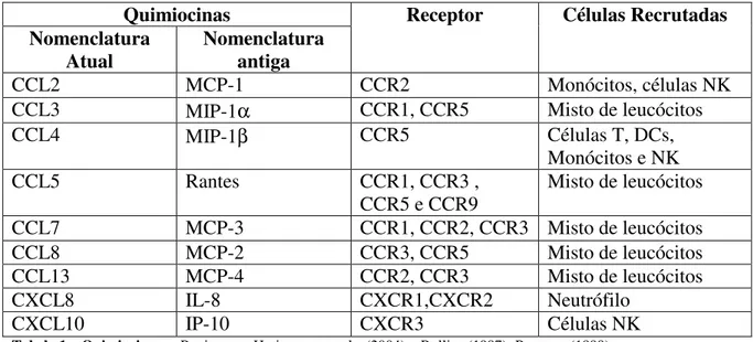 Tabela 1.   Quimiocinas  – Revisto por Haringman e cols. (2004) ;  Rollins (1997); Rottman (1999)