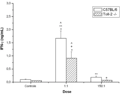 Fig.  4  -  Produção  de  IFN-γγγγ  por  esplenócitos  de  camundongos  C57BL/6  e  TLR-2  -/-  em  resposta  ao  estímulo  L