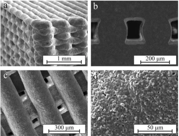 Figure 6. SEM micrographs showing the HA scaffold morphology after sintering at 1300 o C for 2 h: (a)  general view, (b) cross-sectional view showing the microstructure within the rods, (c) printing plane 
