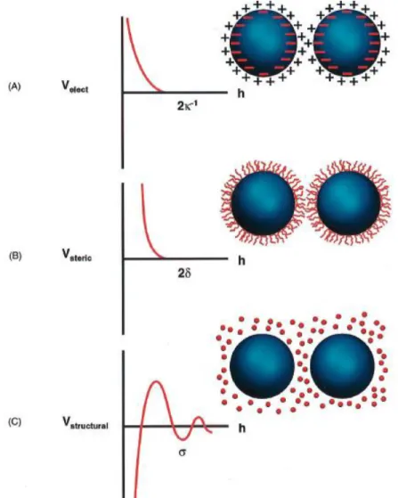 Figure 7. Schematic illustration of the interaction potential energy and relevant length scales for         (A) electrostatic, (B) steric, and (C) structural contributions, where k −1  is the effective double-layer  thickness, ᵟ the adlayer thickness, and 