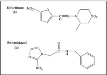 Figura 1: Estrutura química do nifurtimox (a) e do benznidazol (b). 