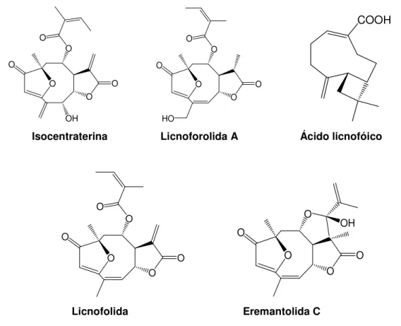 Tabela  3:  Lactonas  sesquiterpênica  com  atividade  anti-T.cruzi  in  vitro  isoladas  de  espécies de Lychnophora (Oliveira et al., 1996) 