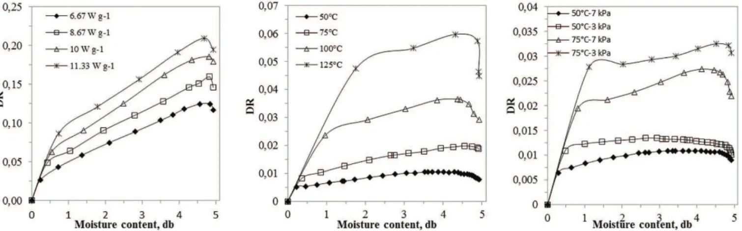 Figure 2. Microwave, convective and vacuum drying rates of the mallow leaves, respectively.