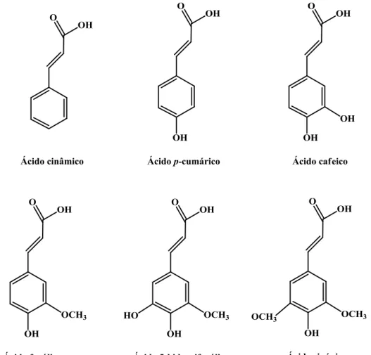 Figura 2. Exemplos de ácidos hidroxicinâmicos existentes na Natureza. 