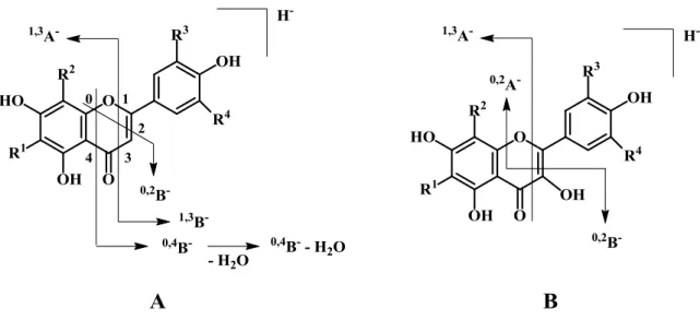 Figura 8. Nomenclatura de iões produto de diagnóstico de flavonas (A) e flavonois  (B)