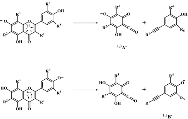 Figura  9.  Iões  produto  de  diagnóstico  de  flavonas  (R 1 =H)  e  flavonois  (R 1 =OH)  formados  pela  fragmentação  por  retro-Diels-Alder  (RDA)