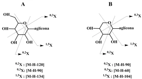 Figura 12. Iões produto característicos formados a partir de clivagens nos resíduos  hexose (A) e pentose (B)