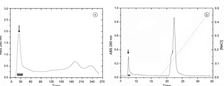 Table 2. Minimum hemagglutinating concentration of CqLec on  human erythrocytes.
