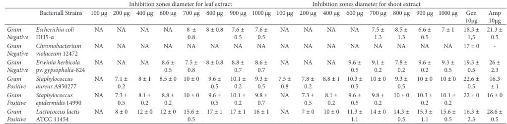 Table 1. Antibacterial activity of etanolic extracts of Physalis peruviana.