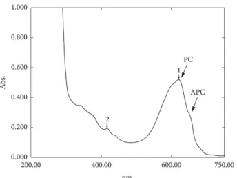 Figure 4. UV-visible Spectrum of the phycobiliproteins extract of  Arthrospira platensis; the arrows indicate the characteristic phycocyanin  peak (PC) and the allophycocyanin (APC) on the shoulder of the PC peak.