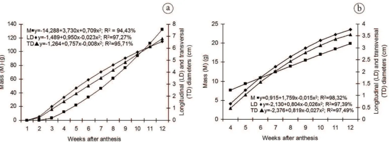 Figure 1. Adjusted mean values and regression equation of the mass and longitudinal and transverse diameters of the pequi fruit (C. brasiliense)  (a); mass and longitudinal and transverse diameters of the stone (internal mesocarp along with the woody mesoc