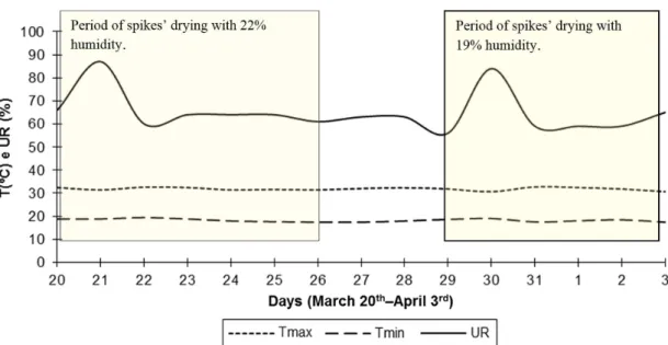 Figure 1. Average time (+/– standard error) in hours required for drying  maize grains to 12% moisture, under three different drying conditions  (sun, under shade with a netshade of 80% shading, and dryer)