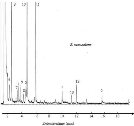 Figure 1. Total ion chromatograms corresponding to the headspace of fermented raw bovine milk with S