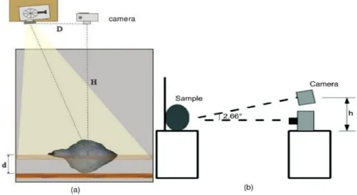 FIGURE  1.  Experimental  setup  used  for  image  acquisition,  showing  black  painted  vertical  board  moved by half of animal width, in (a) a top view, and in (b) a lateral view