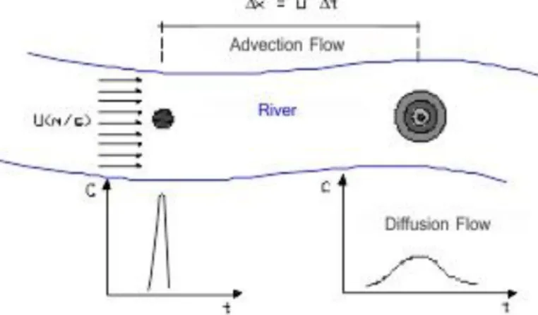 Figure  4  illustrates  the  effects  of  physical  processes  of  diffusion  and  advection,  where  the  advective  flow  is  responsible  for  the  displacement  x  and  diffusive  flow  causes  the  dispersal  of  soluble substances in the flow