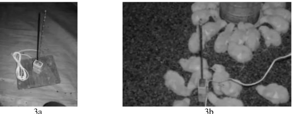 FIGURE  3.  3a)  Hot  wire  digital  anemometer;  3b)  Positioning  of  the  anemometer  inside  the  installations