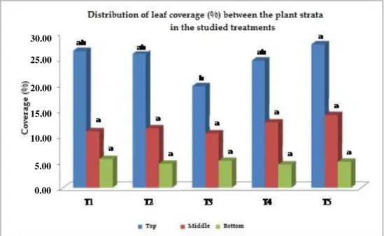FIGURE 1. Leaf coverage (%) in the respective treatments and strata of soybean plants