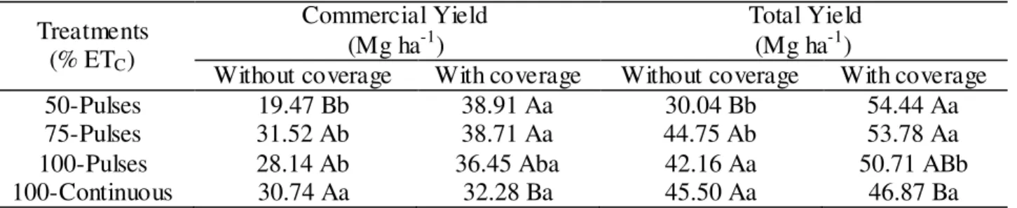 TABLE 3. Commercial and total  yield averages of crisphead  lettuce regarding  interaction between  factors (coverage x irrigation)