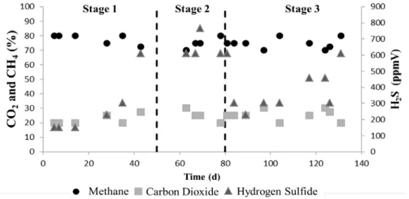 Figure 4 shows monitoring of the biogas quality produced during the study. 