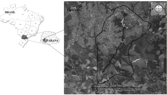 FIGURE  1. Location  of the study area. River Basin Cascavel, Paraná, Brazil,  with the water  collection points