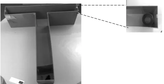 Figure  2.5  T-maze  apparatus.  Figure  at  the  right  represents  the  magnification  of  the  right  arm  of  the  T-maze  with the ceramic food pot