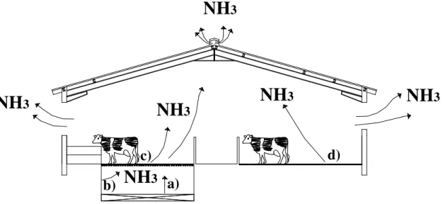 FIGURE 1. Conceptual model of NH 3   transport processes in dairy cattle facilities  (adapted  from  SOMMER et al., 2006)