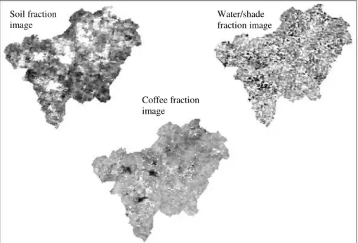 FIGURE  4.  Fraction  images  of  soil,  coffee,  and  water/shade  during  the  rainy  season  (02/02  to  02/17/2012)