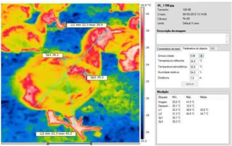 FIGURE 1. Thermal image of birds in the third week of the production cycle. 