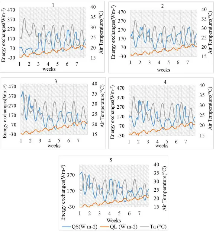 FIGURE 3. Weekly variation in hourly atmospheric temperature and heat exchanges for the poultry  sheds analyzed
