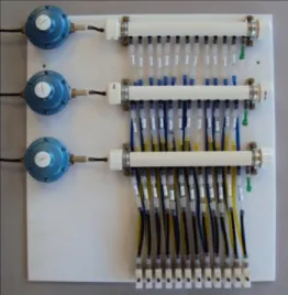 FIGURE  4.  Portable  flow  board  for  use  in  controlled  atmospheres  by  feeding  from  gas  cylinders  and further coupling to storage mini-chamber