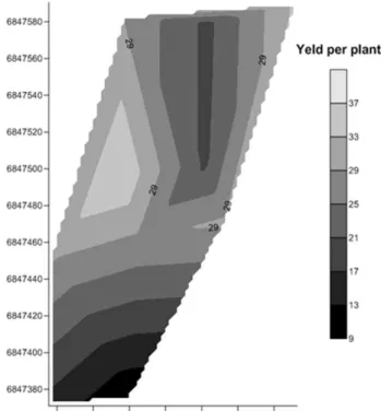 FIGURE 4. Distribution  map of  fruit  yield,  in kg plant -1 , by triangulation  with  linear  interpolation,  which does not consider spatial dependence.